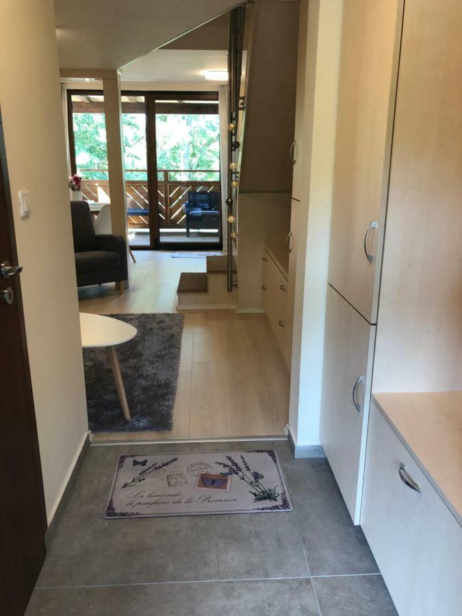 Beachfront Studio Apartman Aparthotel Balatonfůzfő Bagian luar foto
